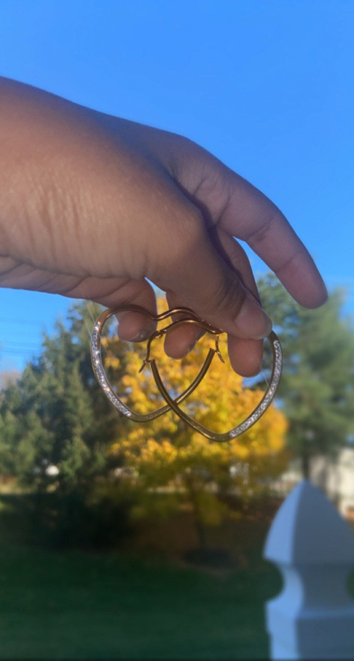 Crystal Stainless Steel Heart Shaped Hoop Earrings