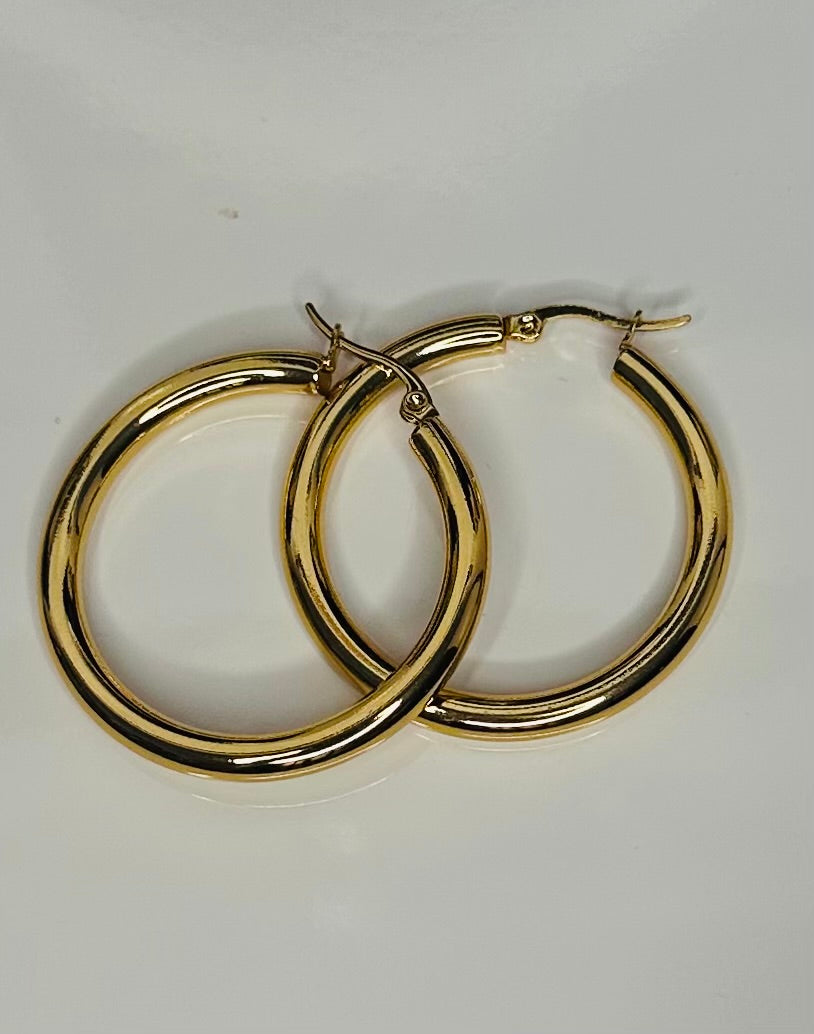 Stainless Steel Hoop Earrings
